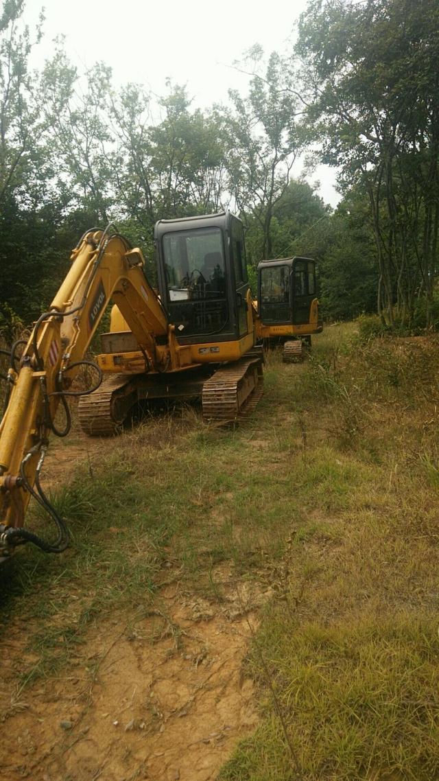 大型采伐设备开进了山场。图片来源 受访者供图