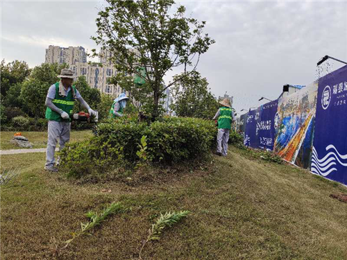 蚌埠市龙子湖区绿化管理所：提升绿化环境 保障创城创卫