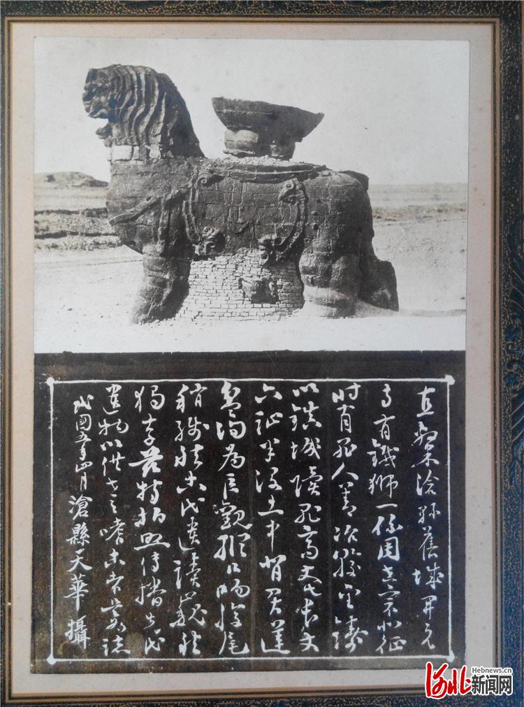 1916年，由沧县小南门内天华照相馆拍摄的沧州铁狮子照片。 孙建供图