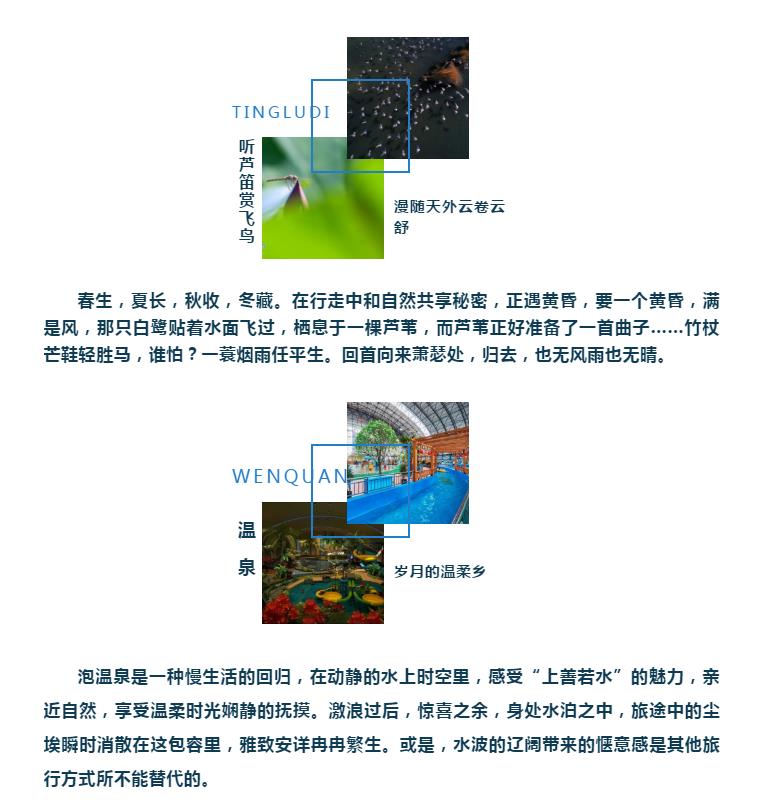 漠漠水田白鹭飞 又闻“江南”芦笛声