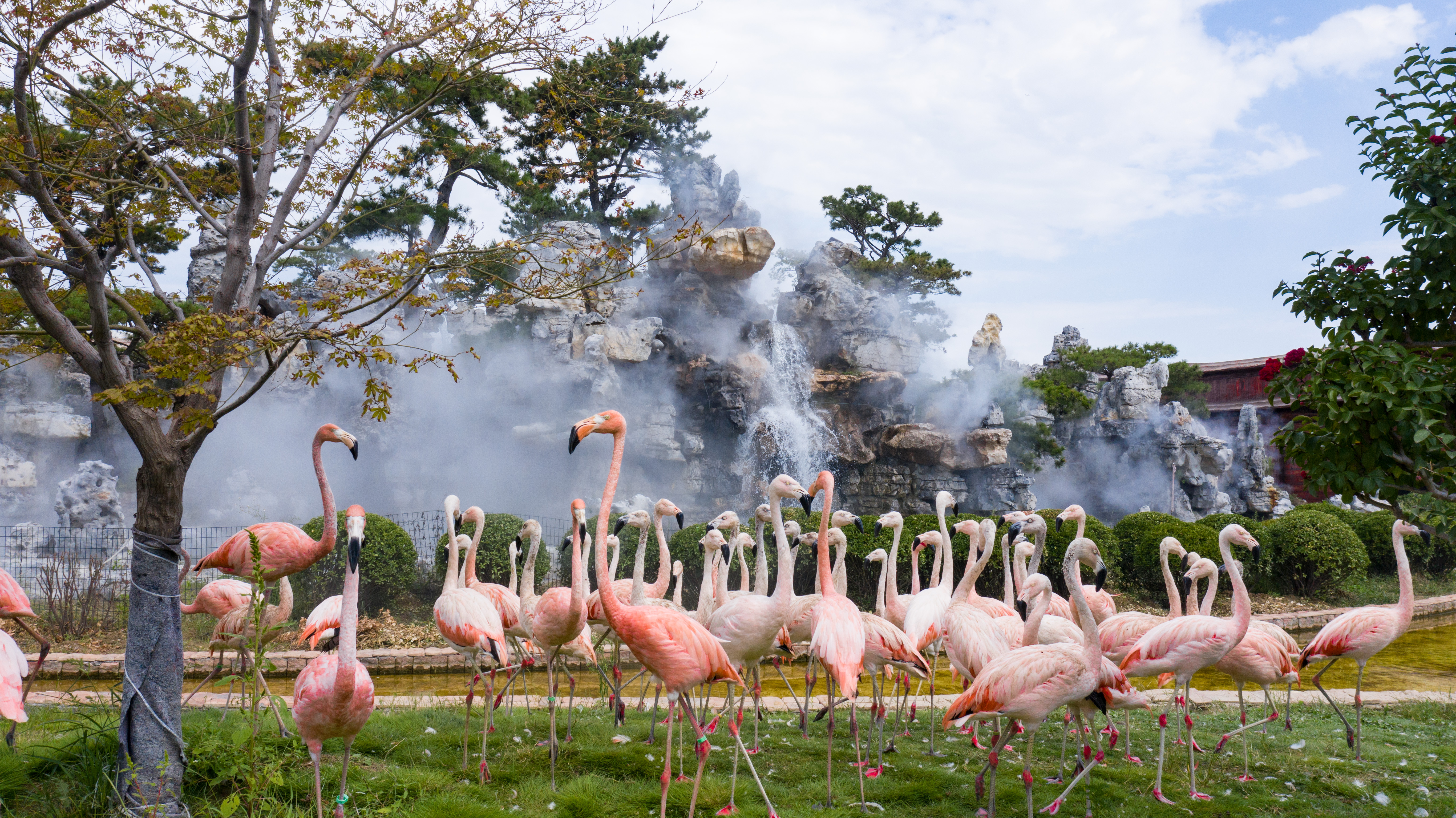 泉城欧乐堡动物王国9月16日开园啦！山东再添亲子遛娃好去处！