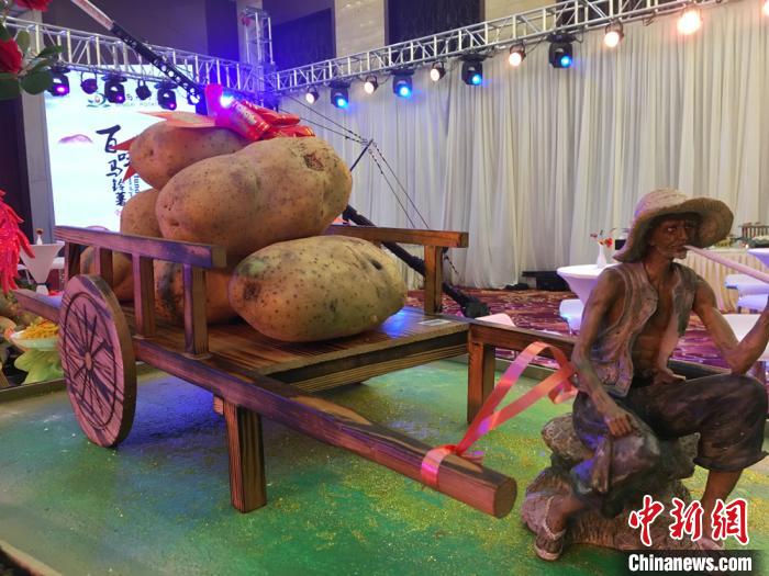 图为2019年中国·定西马铃薯大会现场的马铃薯美食展示 (资料图) 张婧 摄