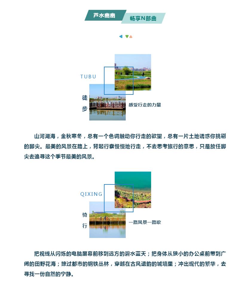 漠漠水田白鹭飞 又闻“江南”芦笛声