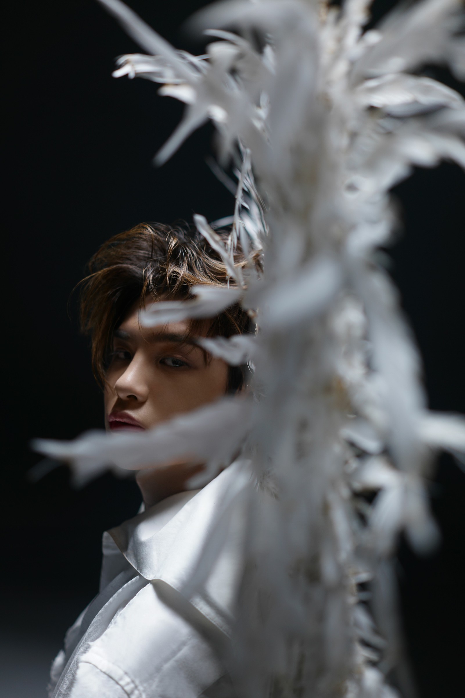 黄明昊angellovemv治愈上线装上翅膀就拥有了飞翔的力量