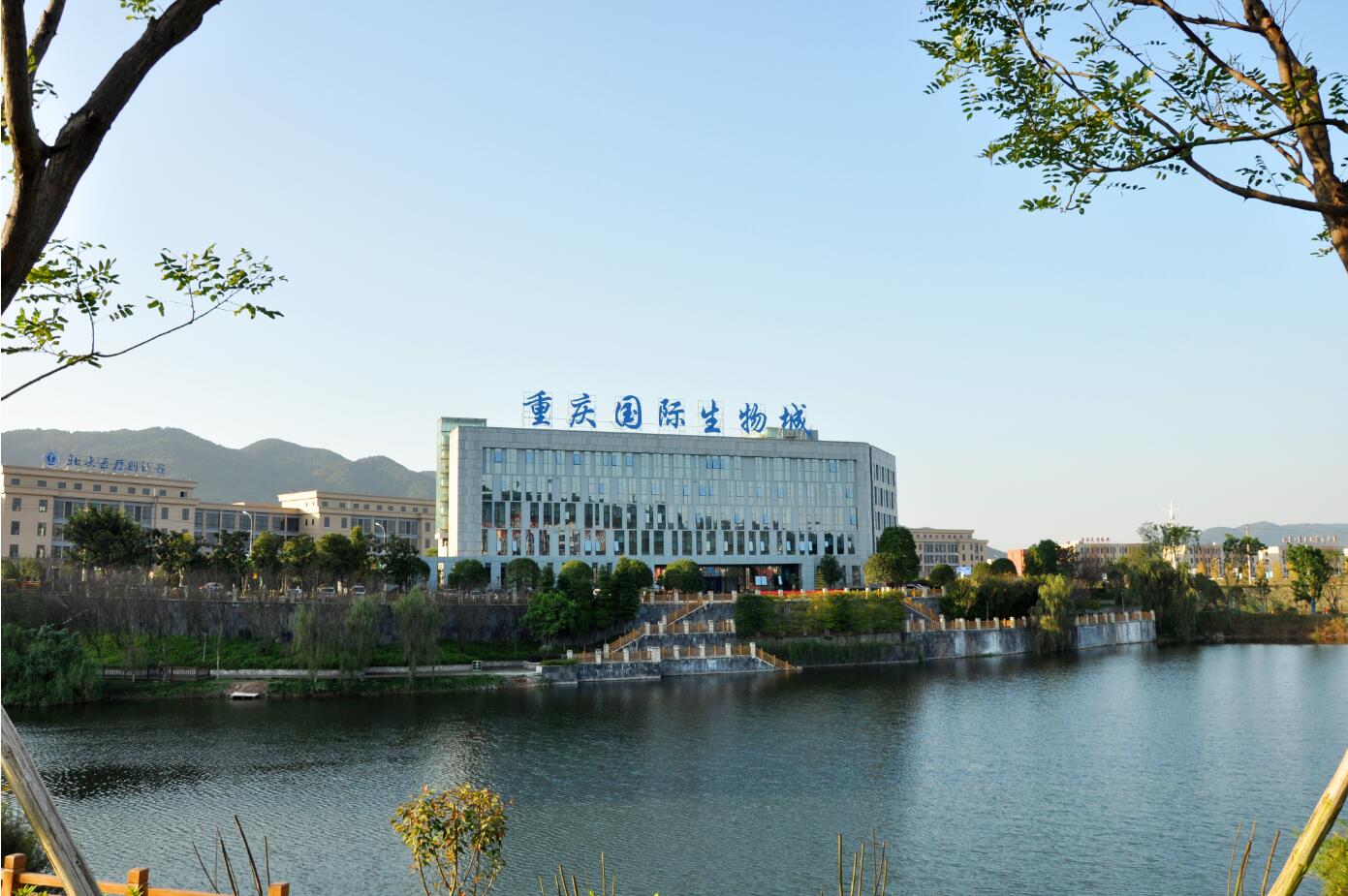 重庆市纪委监委出15招优化营商环境 突出政治监督查纠凤凰网重庆_凤凰