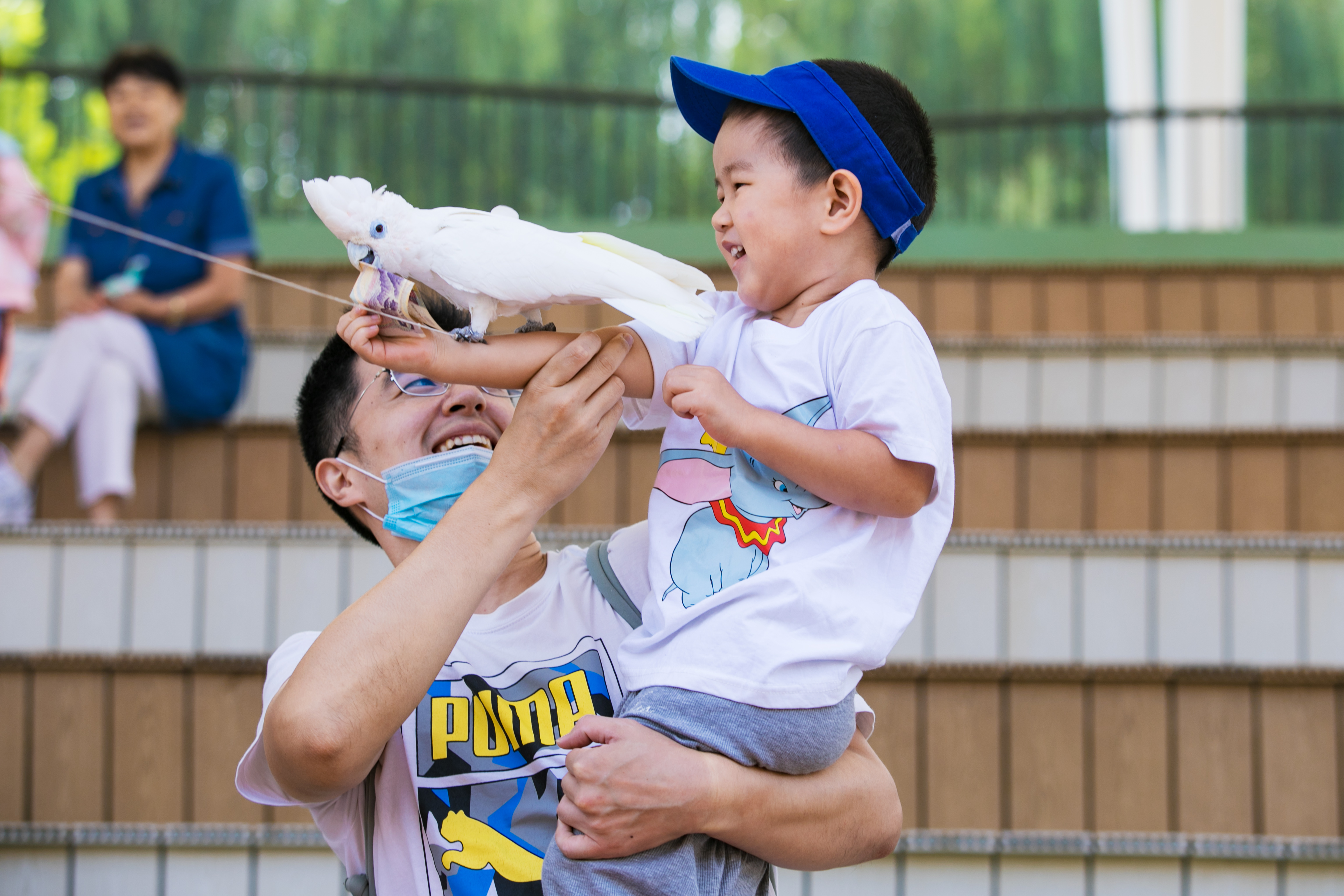 泉城欧乐堡动物王国9月16日开园啦！山东再添亲子遛娃好去处！