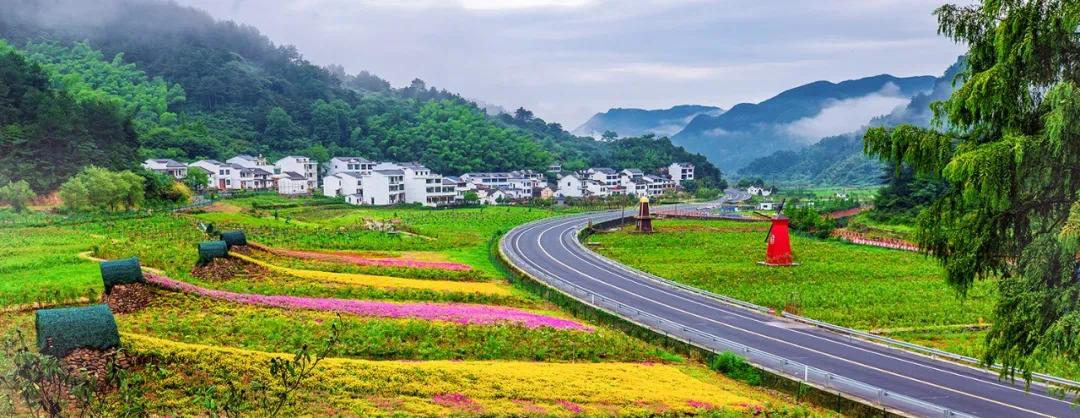 浙江最美自驾公路浦江图片