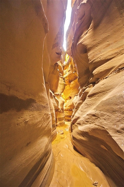 庆城：秀美山水竞芬芳 全域旅游入佳境