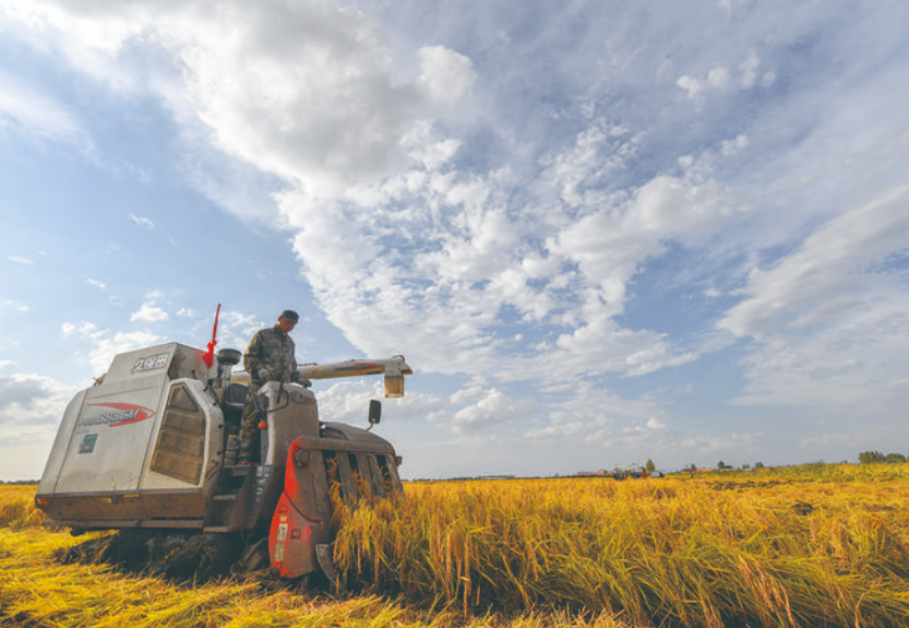农田定损、农业估产、森林防火……  “吉林一号”助力农林