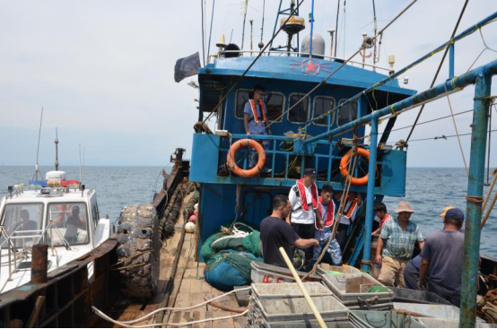 广东海洋综合执法总队查获8艘违规作业渔船