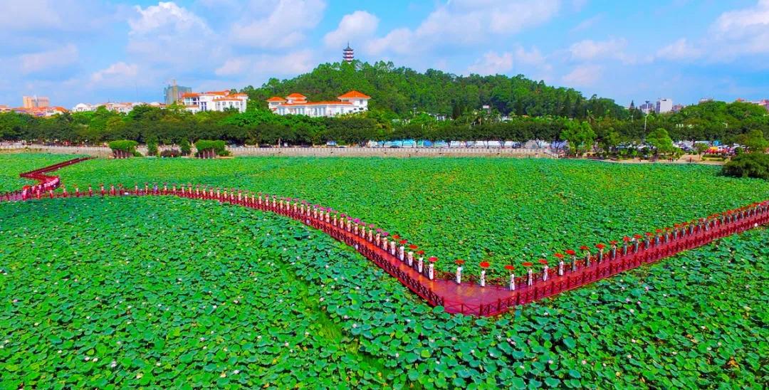 《魅力桥头》 摄影:陈晓云(东莞)