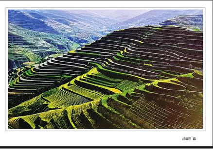 庄浪梯田 赵广田 摄
