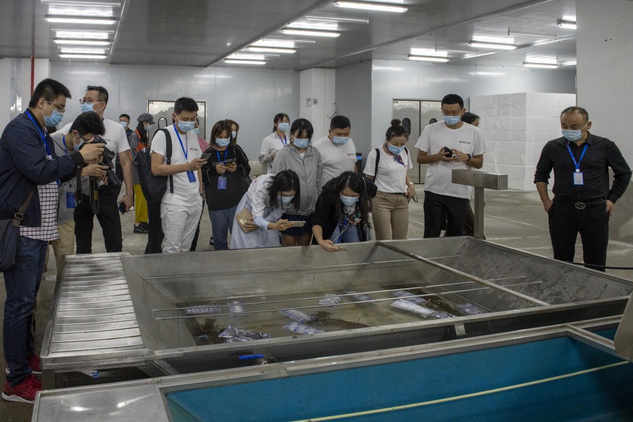 媒体团在湖南连年有鱼进出口有限公司进行调研考察。