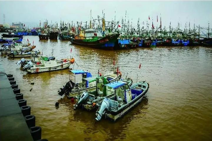渔获物定点上岸，浙江13处渔港上榜国家级名单