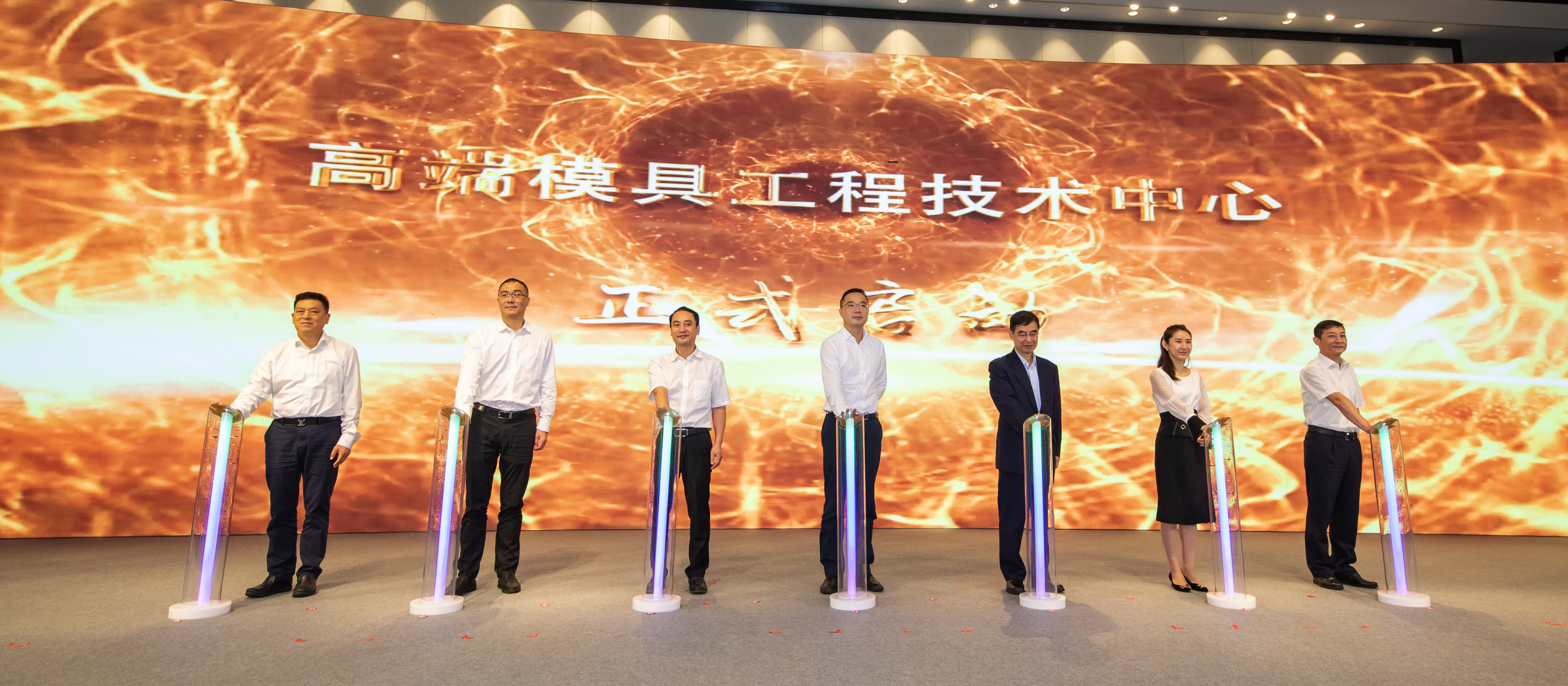 引全球智力 解共有难题  2020科技领军青年英才产智对接活动在宁波北仑举行