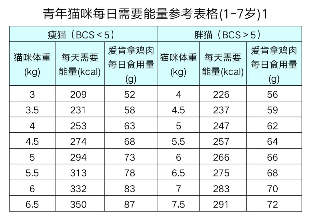 “多事之秋”の宠物养护知识分享