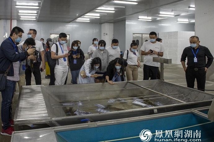 媒体团在湖南连年有鱼进出口有限公司进行调研考察