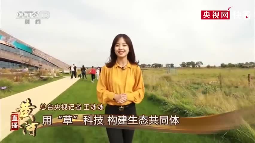 央视甜妹记者王冰冰火遍全网！网友：为美女爱上看新闻