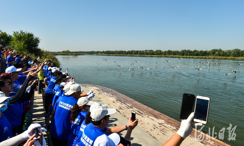 2020京津冀运动休闲体验季走进南大港湿地公园