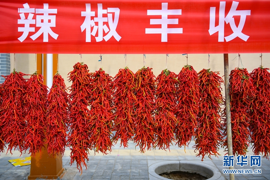 并且通过举办消费扶贫"辣椒节"等活动,进一步宣传推介循化县"一核两椒