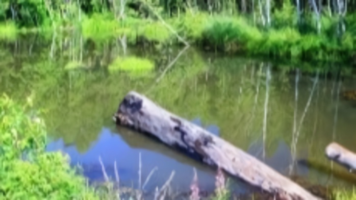 南宁13岁女孩遗体现水塘，手机存“强奸”视频