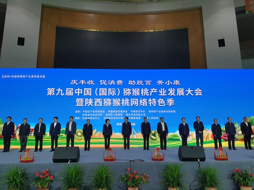 第九届中国(国际)猕猴桃产业发展大会开幕 600行业精英共商发展大计