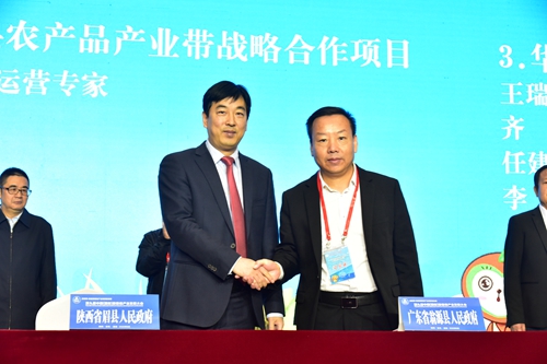 第九届中国(国际)猕猴桃产业发展大会开幕 600行业精英共商发展大计