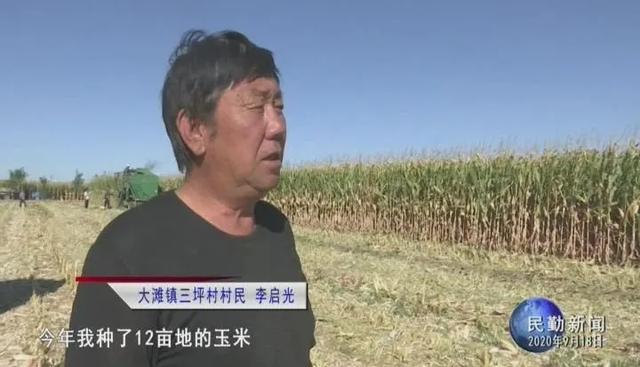 民勤逾27万亩玉米喜获丰收