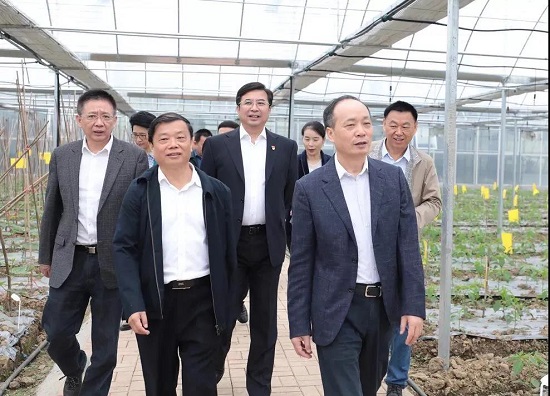 周德睿、邹文辉等一行参观郑太有机农场