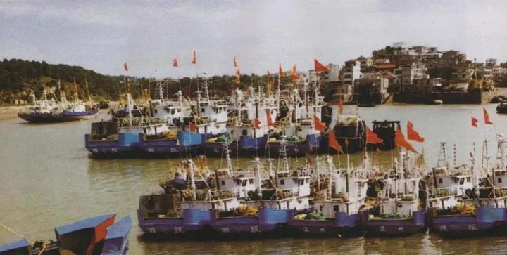 渔获物定点上岸，浙江13处渔港上榜国家级名单