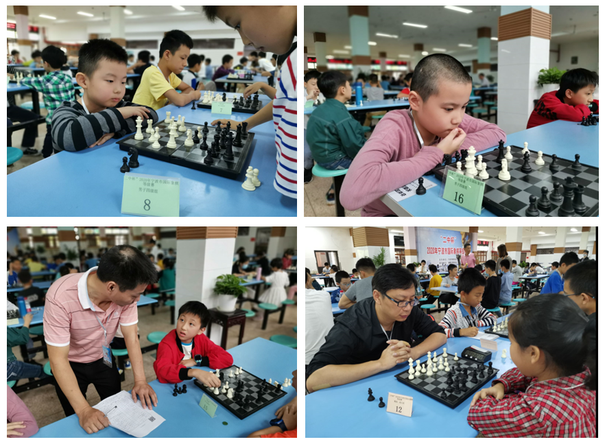 竹洲棋韵浓— 宁波二中联姻市棋协，打造最强国家级科技体育示范学校