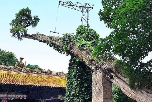 深山藏古寺 杜甫曾在这块宝地赋诗117首！