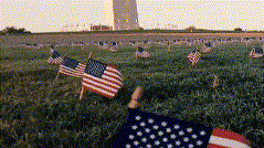 悼念20万新冠死者 美国国家广场插满2万面国旗