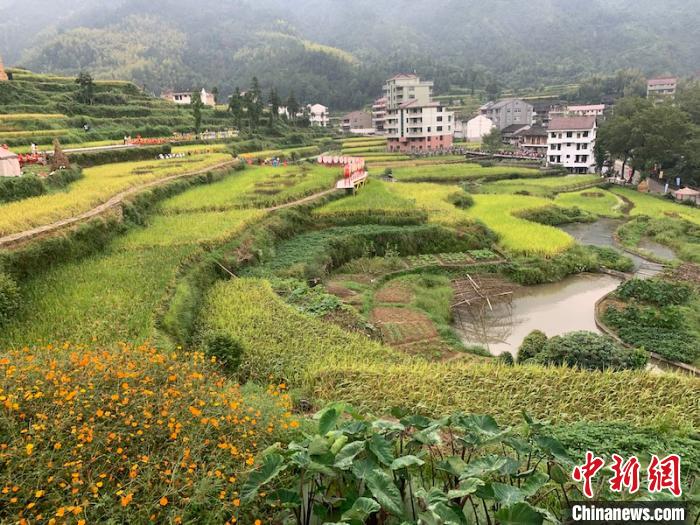 龙现村梯田景致 奚金燕 摄