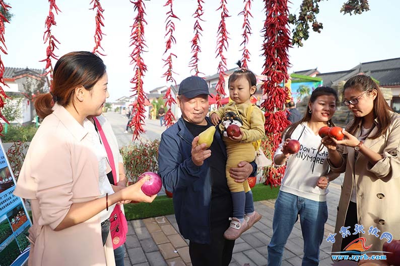 丰收在哪里？在张掖甘州农民的笑脸里！