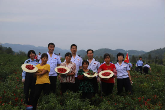 丰收节里喜话税收