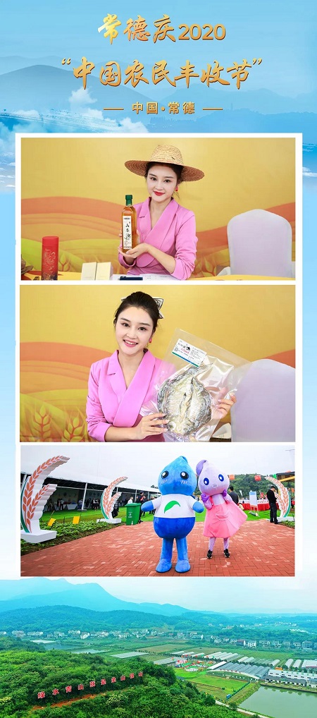 常德电视台节目主持王谦对柳叶湖茶油、柳叶湖鱼进行线上推介，“柳柳”助阵丰收节