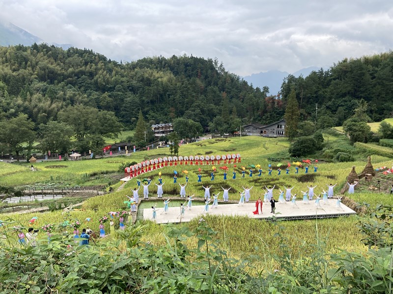 浙江青田：打响稻鱼共生系统金名片 助力乡村振兴