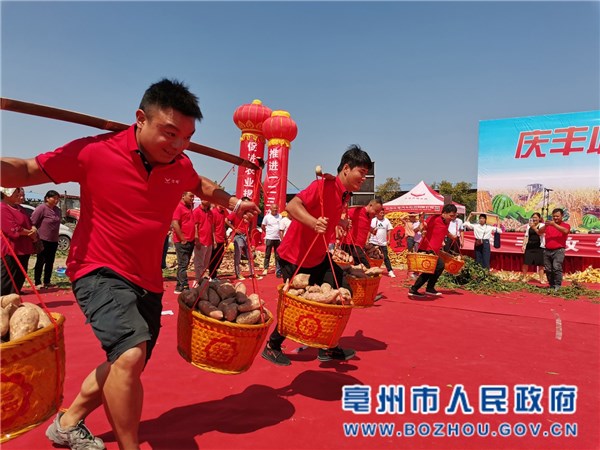 今年谯城区农民丰收节担红薯比赛现场 武景 摄