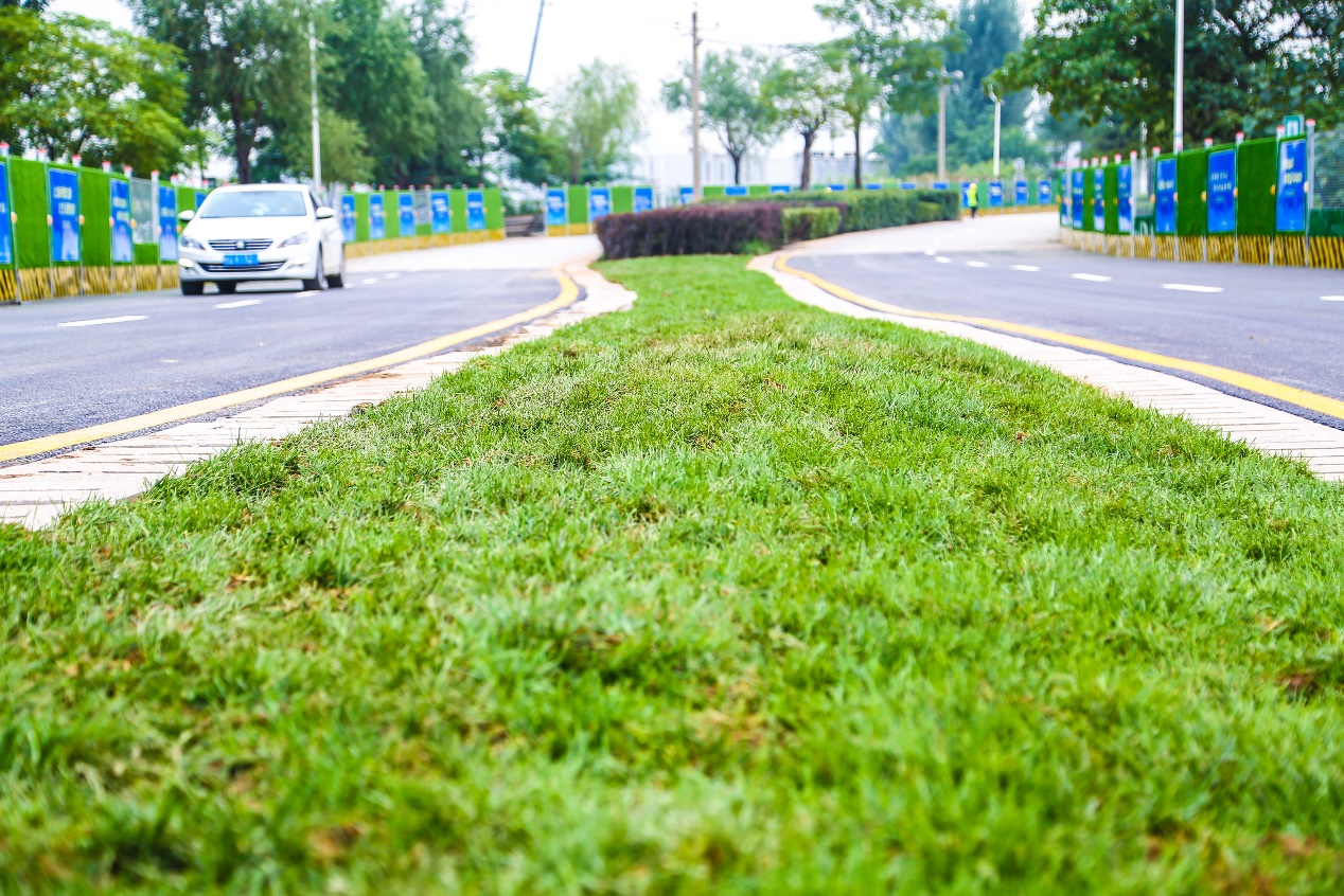 灞河东路（欧亚大道-北三环）畅通无阻