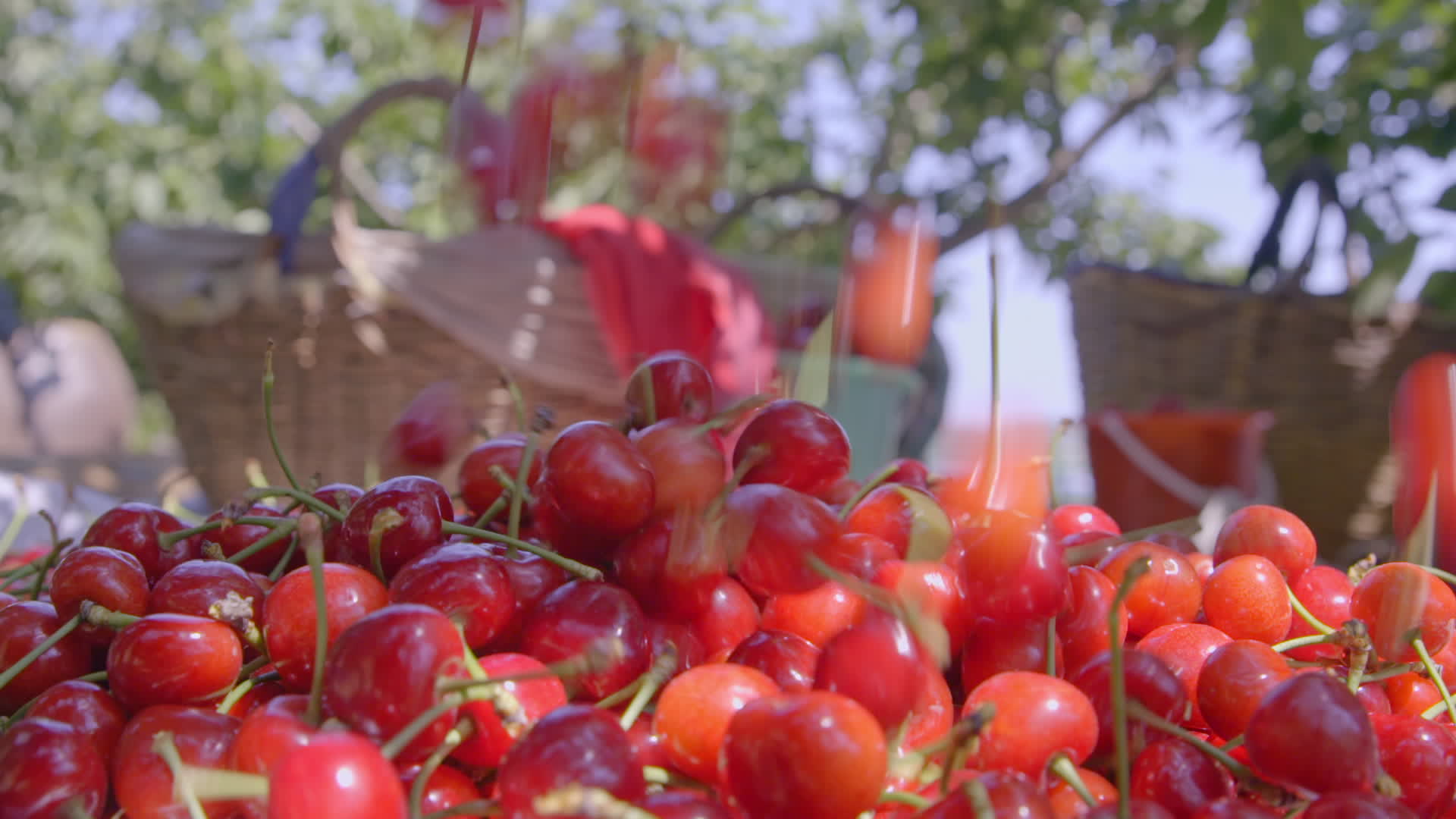 邮政助脱贫 惠农进万家