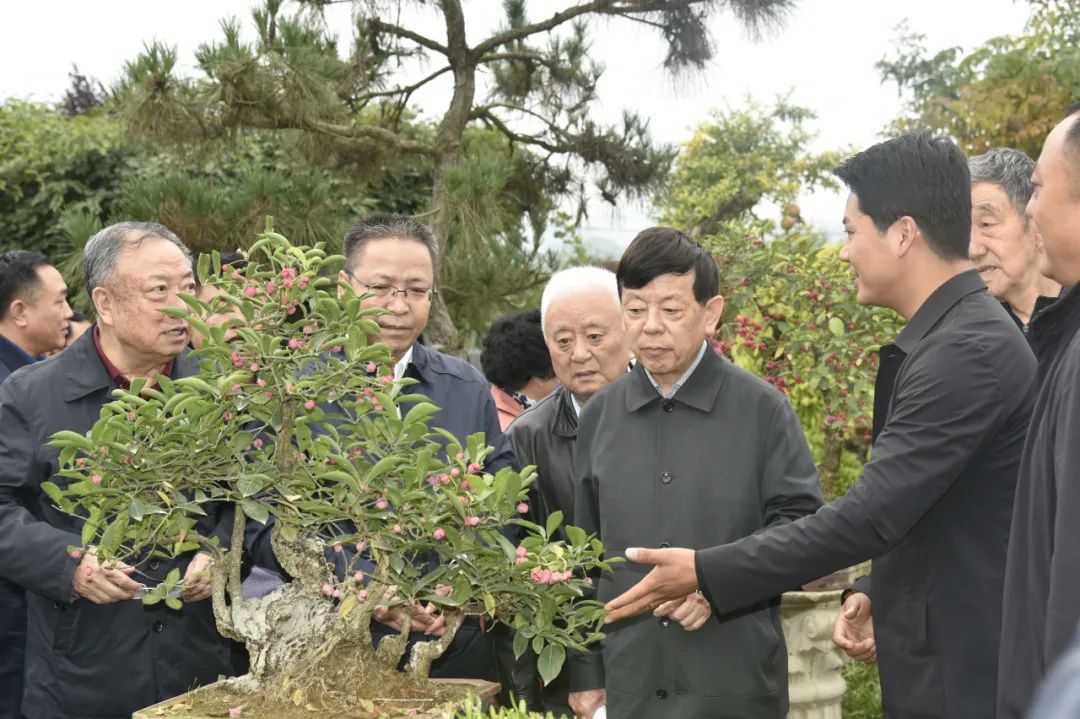 甘肃老干部考察团点赞:陇南成绩有目共睹