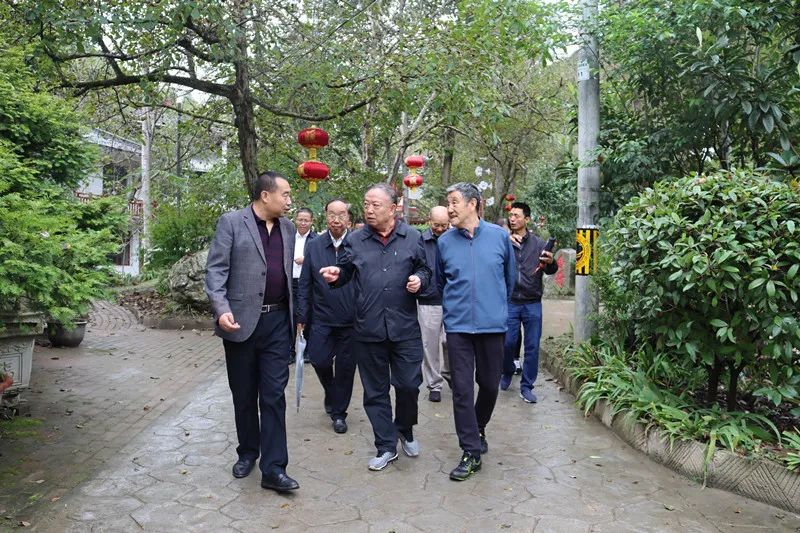 甘肃老干部考察团点赞:陇南成绩有目共睹