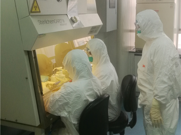 在河北省疾控中心病毒病防治所的实验室里，检验人员检测复核疑难样本。（资料片）省疾控中心供图