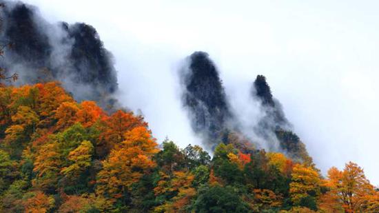 四川光雾山美景。主办方提供