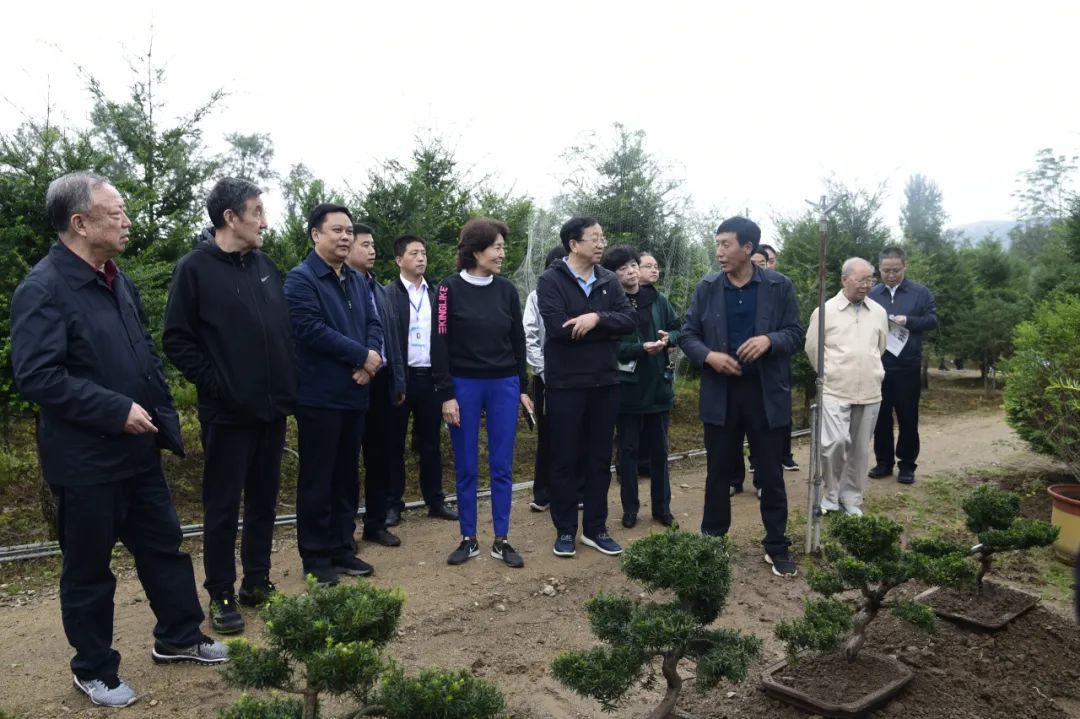 甘肃老干部考察团点赞:陇南成绩有目共睹