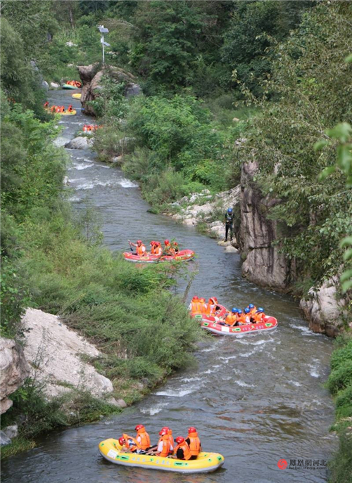 图4：来自保定市文化广电和旅游局