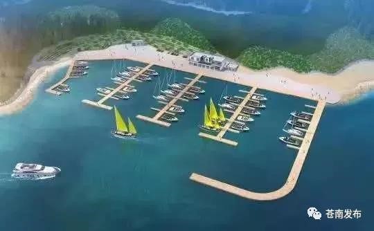 浙江苍南：点燃内外发展“引擎” 重整行装再踏征程