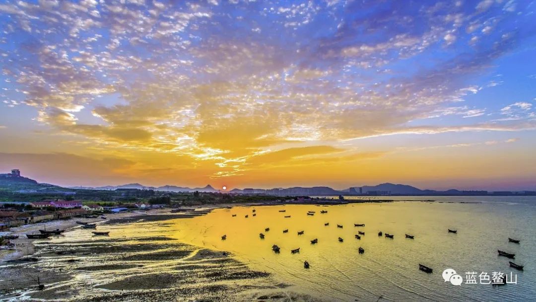 青岛鳌山卫茶芋文化节邀您赏歌舞,游山水,买芋头地瓜!千份特产免费送