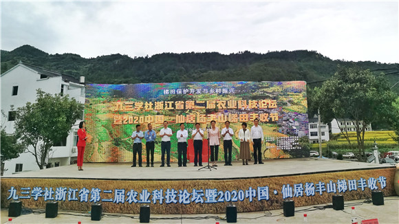 仙居杨丰山:稻花香里说丰年